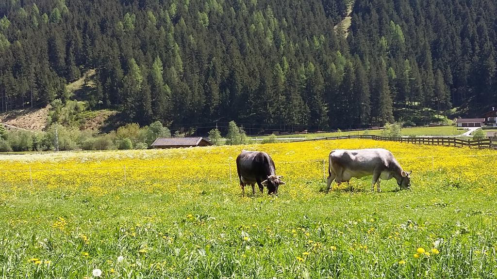 Landhaus Alpensonne Neustift im Stubaital Zewnętrze zdjęcie