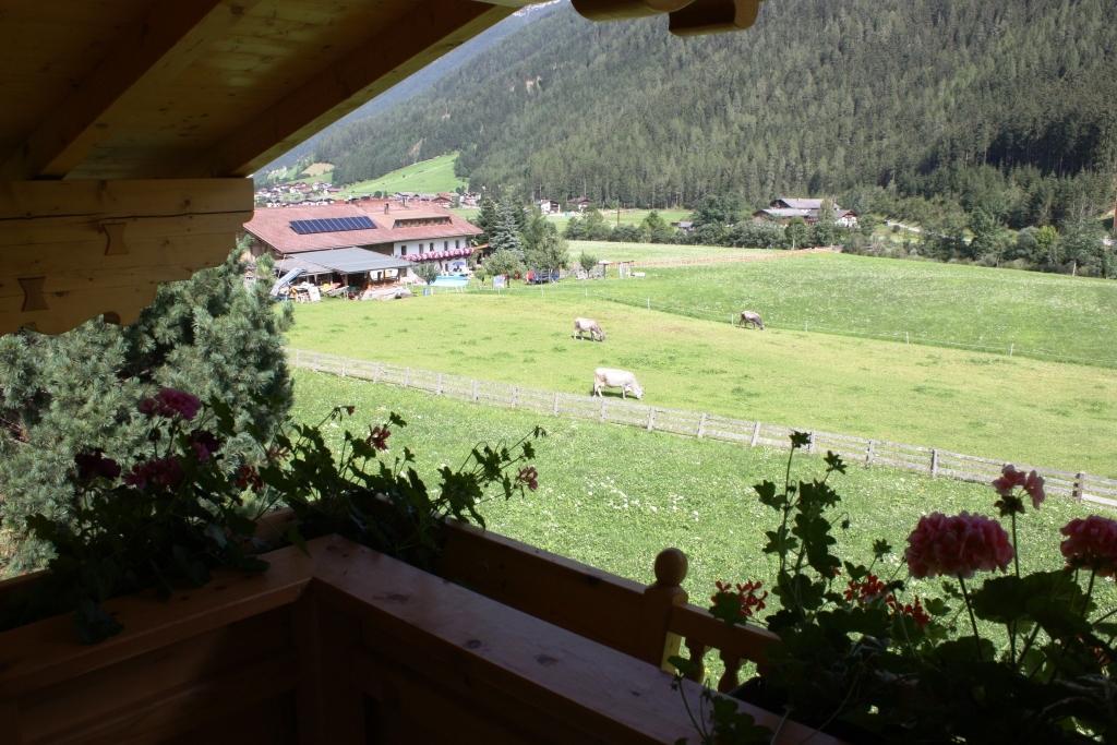 Landhaus Alpensonne Neustift im Stubaital Zewnętrze zdjęcie